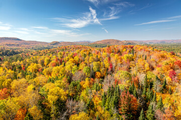Scenic Mountain View with Peak Fall Colors from Sentier des Cimes Tower, Quebec Canada