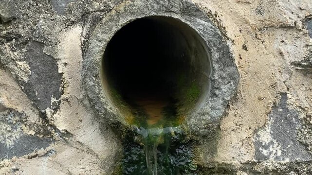 Concrete Drainage Pipe with Green Algae and Flowing Water