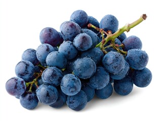 Close-up of a cluster of deep blue grapes with glistening water droplets