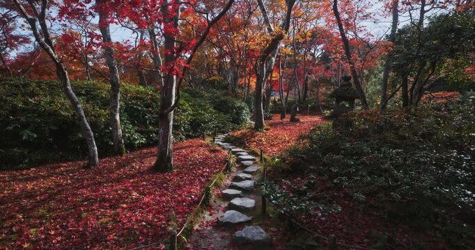 Beautiful autumn forest and narrow rock path in Japan - wide, steady cam shot