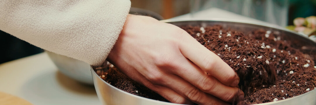 Nutritious substrat for transplanting houseplants into a glass terrarium, preparation for planting succulents. Panoramic