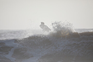 波しぶきとサーファー