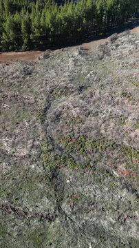 Gran Canaria &ndash; Wyspy Kanaryjskie &ndash; Hiszpania &ndash; Niesamowite widoki g&oacute;rskie uchwycone dronem. Szczyty g&oacute;rskie, chmury, las, skały i g&oacute;rskie drogi.