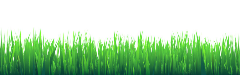 Obraz premium Meadow silhouette with green grass, plants on plain. Panoramic summer lawn landscape with herbs, various weeds. Herbal border, frame element. Black horizontal banners. Vector illustration