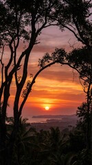 Silhouette of tall trees and branches framing a dramatic tropical sunset, glowing orange and red sky, sun near the horizon