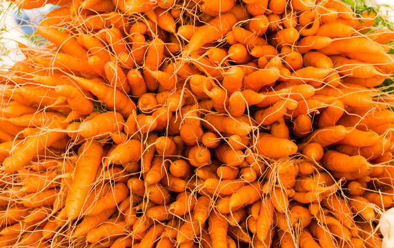 Canada, BC, Saltspring Island, Ganges.  Fresh carrots for sale at the famers market.