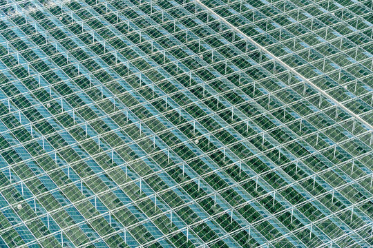 Canada, BC, Delta.  Overhead view of commercial greenhouse.