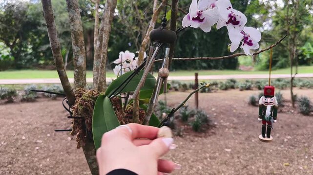 A Person striking a hanging windchime 