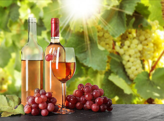 Naklejka premium Wine and fresh grapes on table. Glass and bottles in vineyard