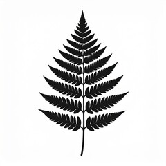 Naklejka premium Black Silhouette of a Fern Frond on a White Background Detailed Botanical Illustration Minimalist Nature Design
