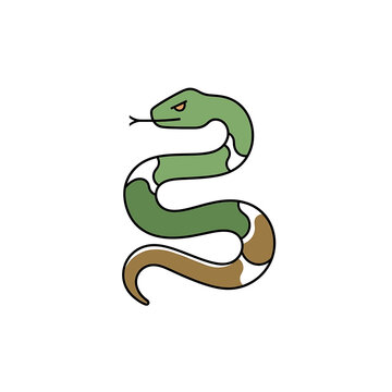 A green snake with a brown tail is coiled and ready to strike from a standing position shown in a simple illustration style.