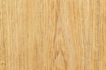 Naklejka premium Natural light golden oak wood grain texture background