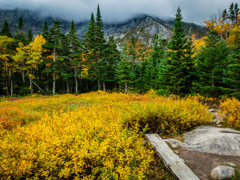 Chimney Pond trail hike at Baxter State Park, Maine, with peak fall foliage on an overcast cloudy day