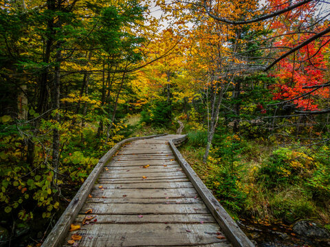 Chimney Pond trail hike at Baxter State Park, Maine, with peak fall foliage on an overcast cloudy day