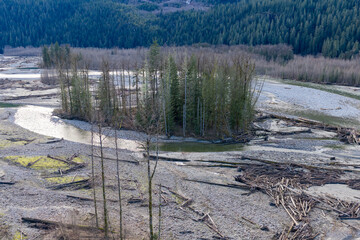 Isolated Tree Island In Shallow Riverbed With Driftwood And Logs In BC, Canada Wilderness