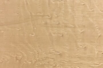 light natural burl oak wood grain texture background