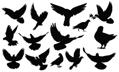 Obraz premium Soaring Dove Silhouette: An aerial ballet of doves, captured in striking silhouette, their wings gracefully outstretched in mid-flight and stillness, conveying peace and serenity.