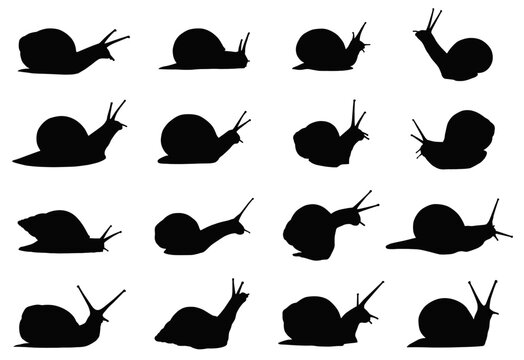 Snails Silhouette Collection: An artistic representation of a snail, showcased in diverse poses and movements, offering a striking study of form and silhouette.