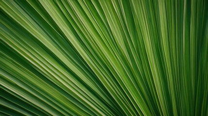 Obraz premium Full Frame Close Up of a Tropical Leaf with Deep Green Texture and Natural Patterns