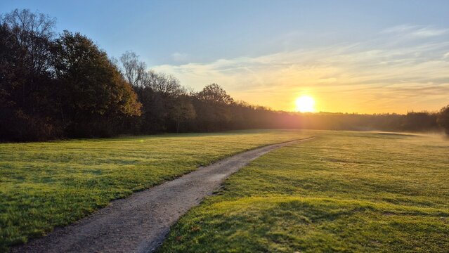 sunrise in the field