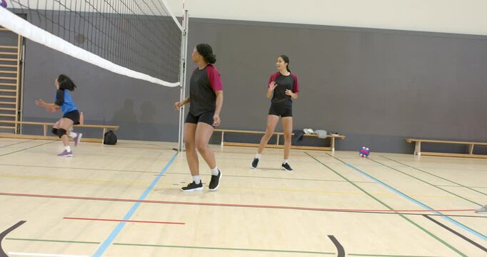 Diverse female volleyball team diving near net on gym court with serve approaching to secure ball