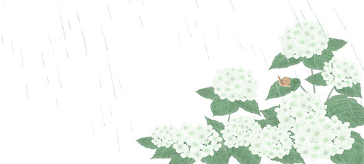 Watercolor white hydrangea frame with rain drops and a cute snail for rainy season design.-300dpi- © URU