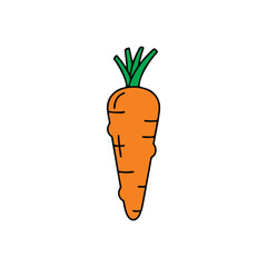 vector carrots and carrot