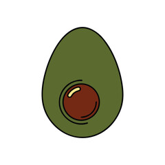 vector illustration of an avocado