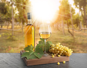 Naklejka premium Wine and fresh grapes on table. Glass and bottle in sunny vineyard