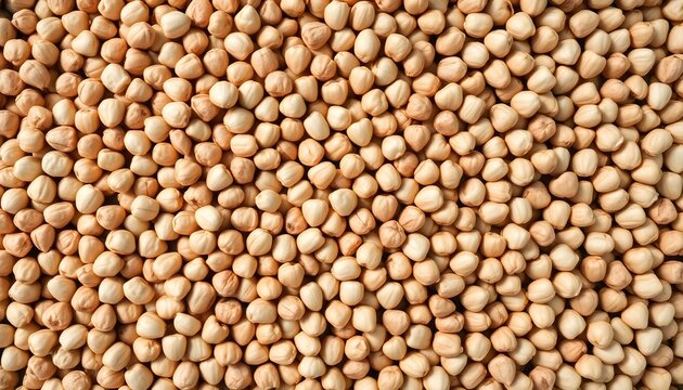 A close-up view of numerous chickpeas spread out on a surface.