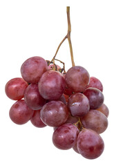 bunch of red grapes isolated