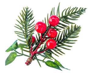 branch of a red currant isolated on white