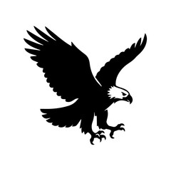 Obraz premium Harpy Eagle vector illustrator minimal
