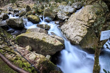 The Eternal Flow of the Mossy Stream, Akameshijuhatsu Falls, Japan