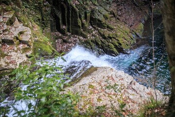 The Eternal Flow of the Mossy Stream, Akameshijuhatsu Falls, Japan