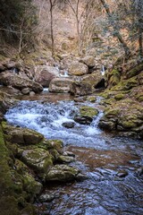 The Eternal Flow of the Mossy Stream, Akameshijuhatsu Falls, Japan