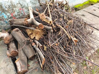 Pile of Dry Wood Logs and Branches Ready for Burning