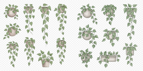 Set of various hanging and potted houseplants with green leaves, vector illustration. © Akun