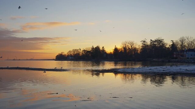 Birds skim across the golden lake