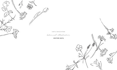 植物の線画イラスト。植物のベクターイラスト背景。葉っぱと花の背景フレーム。
Botanical line art illustration. Botanical vector illustration background. Leaves and flowers background frame.