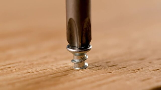 Screwdriver Turning Screw with Cinematic Focus