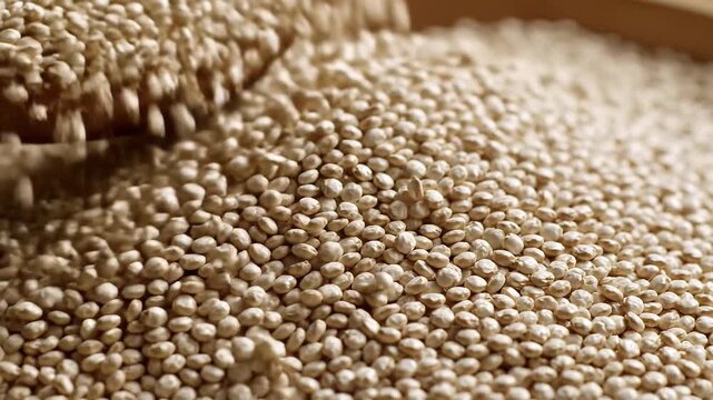 Close-up of white quinoa grains being poured from a wooden spoon into a pile, healthy food concept