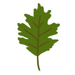 Green Oak Leaf in Flat Style for Nature Theme