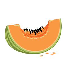Cantaloupe Slice with Seeds Illustration.