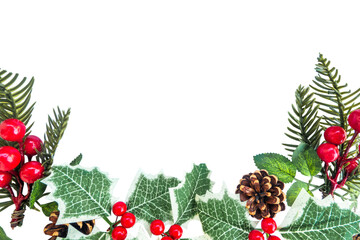 frame made of branch of a red currant