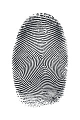 A detailed black and white image of a single human fingerprint