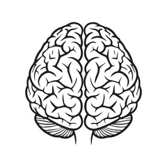 Human Brain Line Art Illustration &ndash; Anatomy Mind Vector Icon