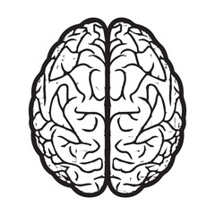 Human Brain Line Art Illustration &ndash; Anatomy Mind Vector Icon
