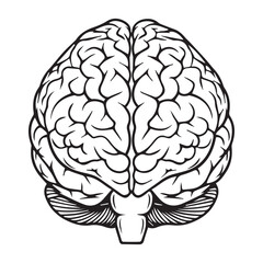 Human Brain Line Art Illustration &ndash; Anatomy Mind Vector Icon