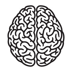 Human Brain Line Art Illustration &ndash; Anatomy Mind Vector Icon